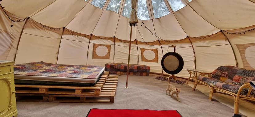 Glamping, 2-3 pers., 3 overnatninger, kørestolsadgang